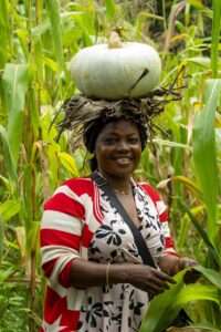 woman, corn field, african woman-6777904.jpg